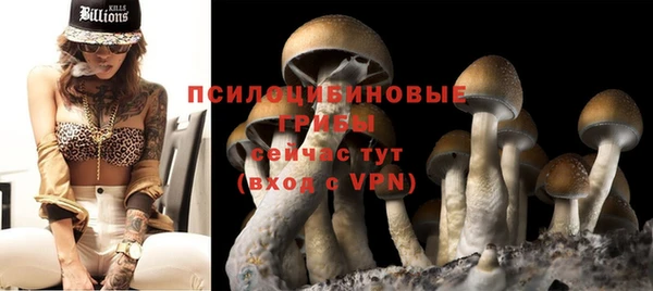 герыч Няндома