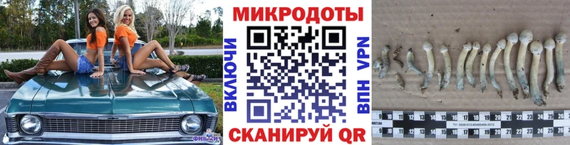 Галлюциногенные грибы GOLDEN TEACHER  Сосновоборск 