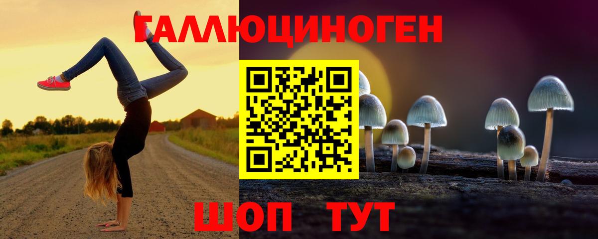 Псилоцибиновые грибы мицелий Сосновоборск